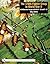 The 370th Fighter Group in ...