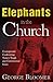 Elephants in the Church: Courageously Confronting Today's Tough and Controversial Issues