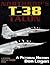 Northrop's T-38 TALON by Don Logan