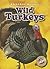 Wild Turkeys (Blastoff Readers. Level 1) (Backyard Wildlife)