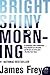 Bright Shiny Morning by James Frey