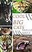 Cool Big Cats: Cool facts about cool big cats, a picture book for children about lions, tigers, cougars, cheetahs, and more! (A Children's Animal Book 1)