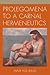 Prolegomena to a Carnal Her...