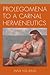 Prolegomena to a Carnal Hermeneutics by Hwa Yol Jung