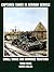 Captured Tanks in German Service: Small Tanks and Armored Tractors 1939-45 (Schiffer Military History)