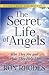 The Secret Life of Angels: Who They Are and How They Help Us