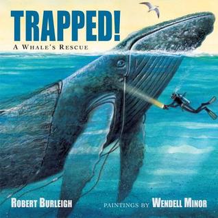 Trapped!: A Whale's Rescue (Hardcover)