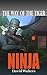 Ninja by David Walters