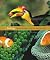 Biology: The Unity and Dive...