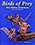 Birds of Prey: Blue Ribbon Techniques (Carving Projects)