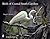 Birds of Coastal South Carolina (Schiffer Books)