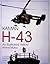 Kaman H-43: An Illustrated ...