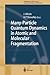 Many-Particle Quantum Dynamics in Atomic and Molecular Fragmentation (Springer Series on Atomic, Optical, and Plasma Physics, 35)