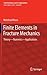Finite Elements in Fracture Mechanics: Theory - Numerics - Applications (Solid Mechanics and Its Applications, 201)