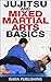 Jujitsu and Mixed Martial Arts Basics