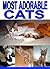 Most Adorable Cats