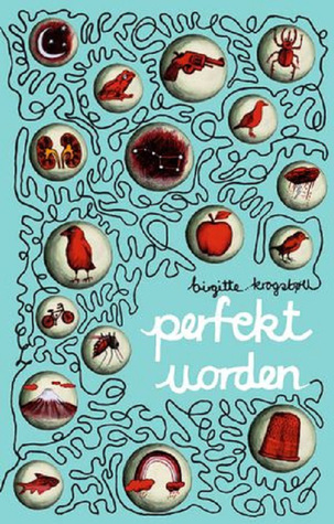 perfekt uorden (Paperback)