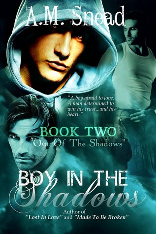 Out of the Shadows (Boy in the Shadows #2)