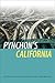 Pynchon's California (New American Canon)