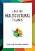 Leading Multicultural Teams