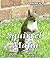 Squirrel Mafia