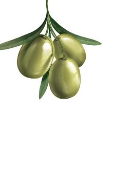 Aceituna, una (ebook)