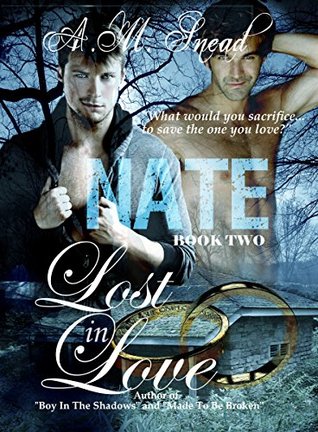 Nate  (Lost In Love #2)