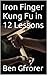 Iron Finger Kung Fu in 12 Lessons (2014 edition)