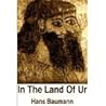 In the Land of Ur; The Discovery of Ancient Mesopotamia.
