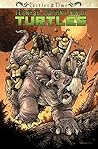 Teenage Mutant Ninja Turtles: Turtles in Time Teenage Mutant Ninja Turtles: Turtles in Time