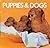 Puppies & Dogs