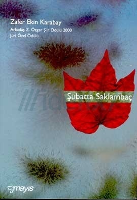 Şubatta Saklambaç (Paperback)