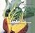 Taste Pure and Simple: Irre...