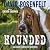 Hounded (Andy Carpenter #12)