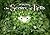Designing the Secret of Kells