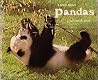 A Book about Pandas A Book about Pandas
