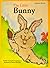 The Little Bunny (Little Simon Shaggy Book)