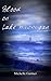 Blood on Lake Michigan by Michelle Gartner