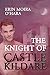 The Knight of Castle Kildare by Erin Moira O'Hara