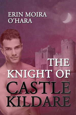 The Knight of Castle Kildare (Kindle Edition)