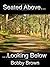 Seated Above, Looking Below by Bobby   Brown