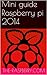 Mini guide Raspberry pi 2014 (French Edition)