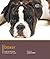 Boxer by Laura Clark