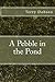 A Pebble in the Pond by Terry Dobson