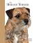 Border Terrier
