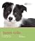 Border Collie: Pet Book (Dog Expert)