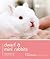Dwarf & Mini Rabbits: understanding and caring for your pet (Pet Friendly)