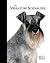 Miniature Schnauzer: Pet Book (Best of Breed)