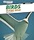 Birds: Flying High (Discovery Education: Animals)