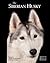 Siberian Husky: Pet Book (Best of Breed)